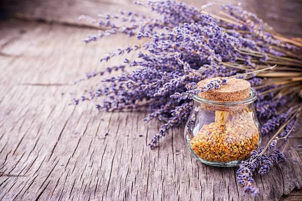 خرید پودر اسطوخودوس